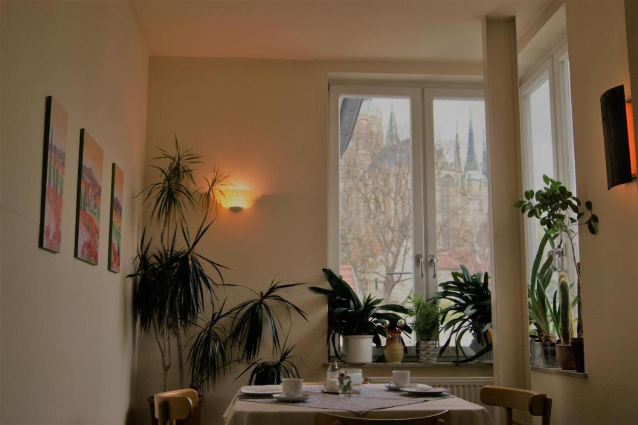 Hotelpension Am Dom Erfurt Exterior photo